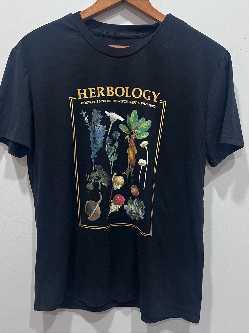 Herbology Botanical Graphic Tee - Black